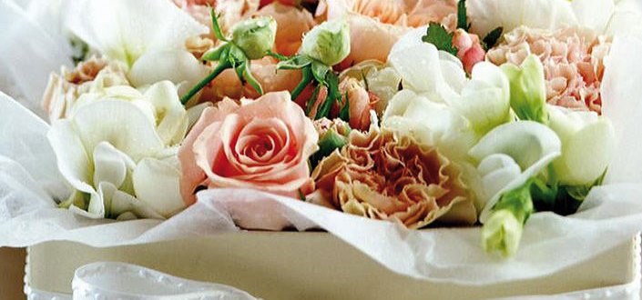 Envio de flores